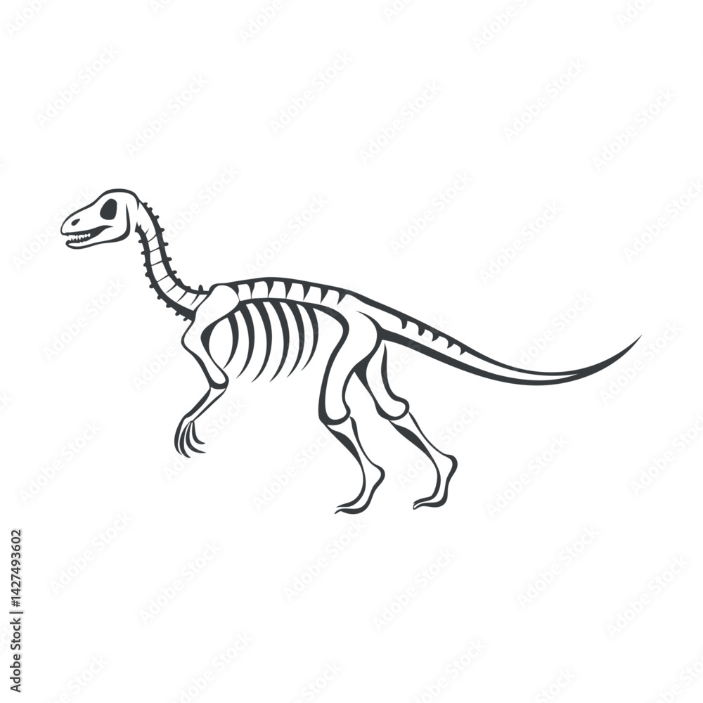 dinosaur skeleton vector illustration dinosaur skeleton vector illustration