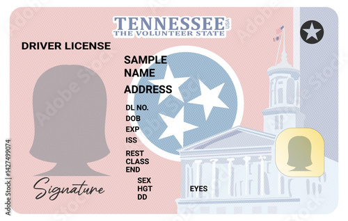 Tennessee driver's license with female silhouette isolated on white background. Person driver license.
