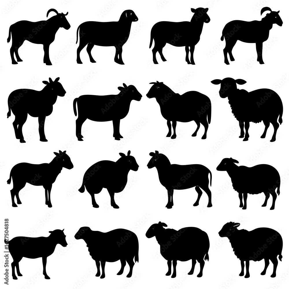 Obraz premium Silhouettes Various Sheep Poses
