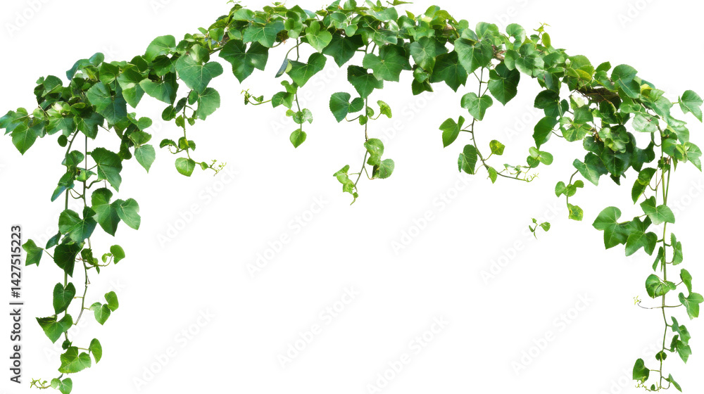 background with green leaves isolated on white background background with green leaves isolated on white background