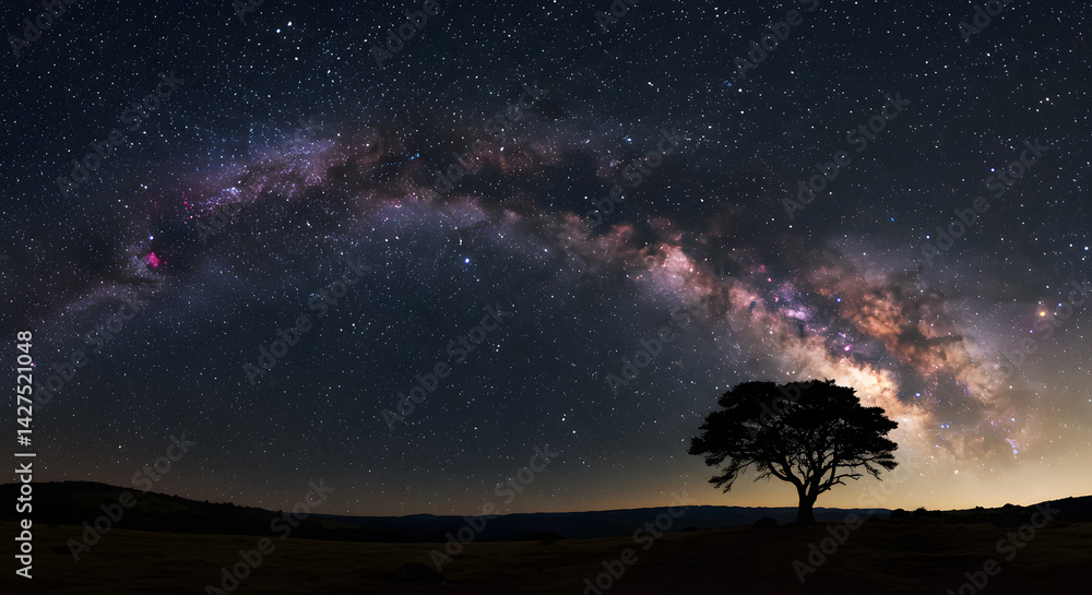Fototapeta premium Milky Way Over Tree Silhouette at Night