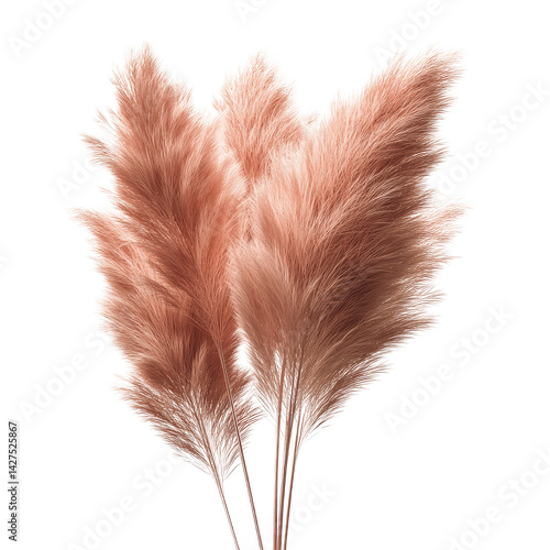 Elegant Pampas Grass Bouquet - Dried Flowers in Rose Gold Hue