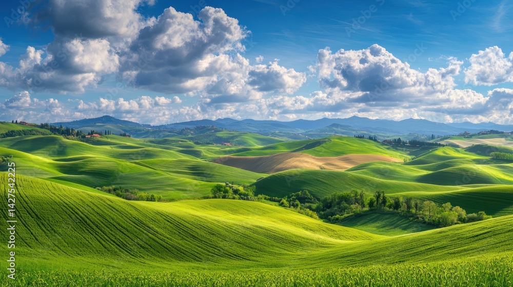 Fototapeta premium A panoramic view of a countryside landscape with rolling hills and farmlands.
