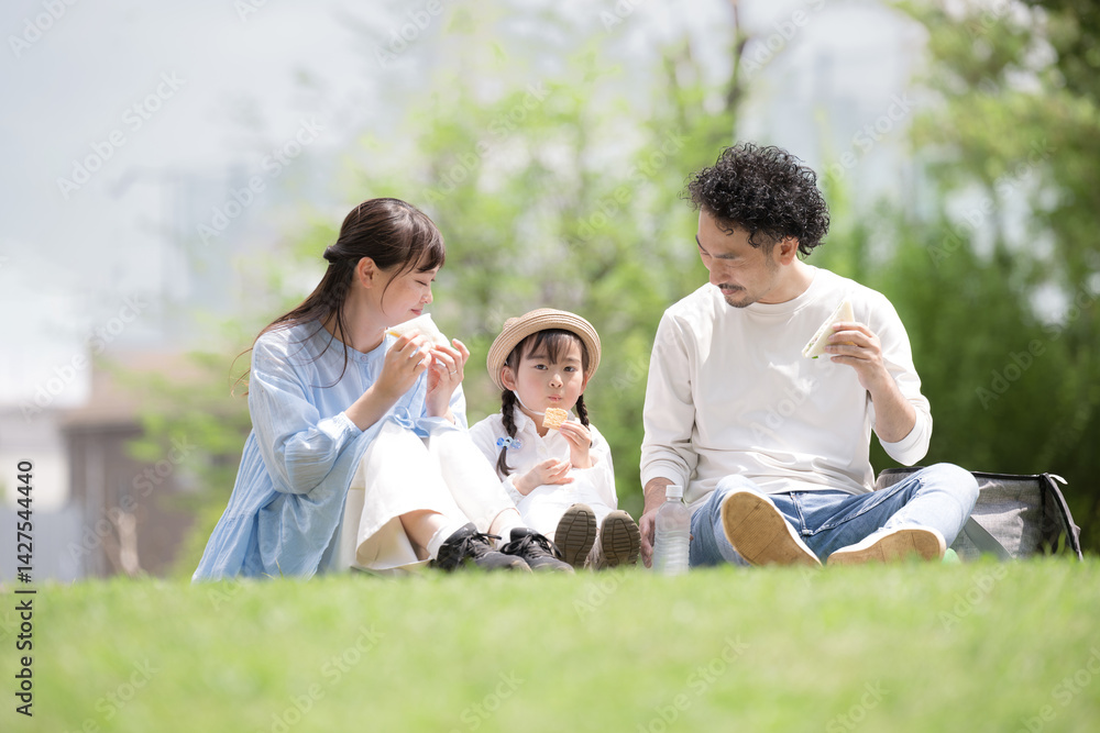Fototapeta premium Gentle image of a picnic on the lawn with the family Spring and summer outings, leisure activities, etc.