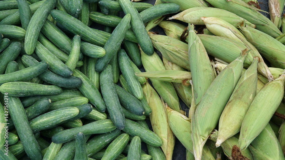 corn and cucumber at the traditional market corn and cucumber at the traditional market
