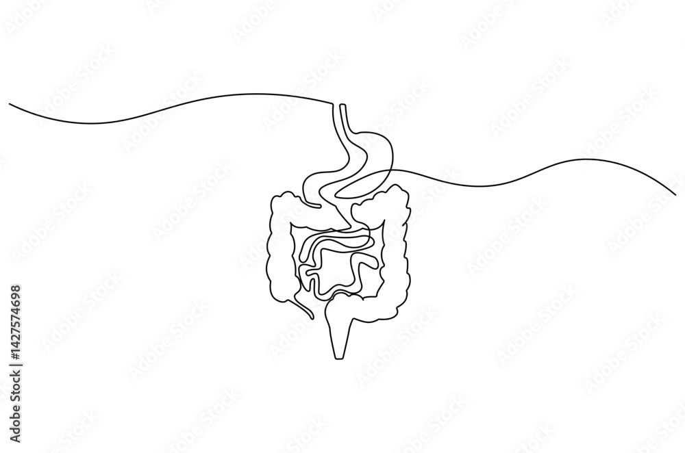 Obraz premium Continuous one line drawing of Human digestion. Single line drawing illustration of Human Digestive. Human anatomical concept vector art. Doodle line illustration.