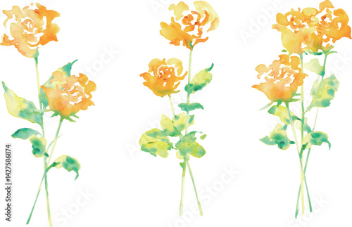 水彩画。水彩タッチの黄色い薔薇イラスト。父の日の黄色い薔薇フレーム。Watercolor painting. Yellow rose illustration with watercolor touch. Father's Day yellow rose frame.