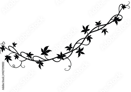 creeper silhouette. This image shows a black silhouette of a creeping vine with leaves and tendrils, also known as a vine or ivy. Vector clipart illustration design.