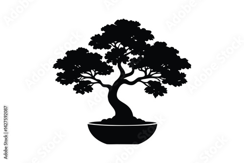 Bonsai tree growing silhouette on white background
