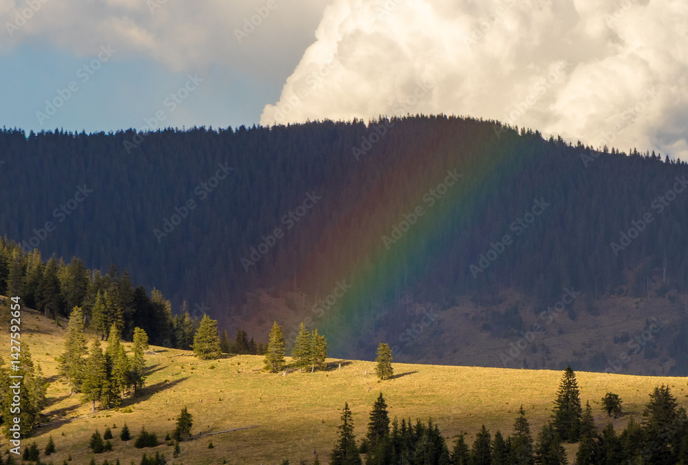 Landscape with a rainbow on an alpine meadow