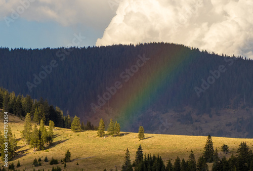Obraz na płótnie Landscape with a rainbow on an alpine meadow w salonie