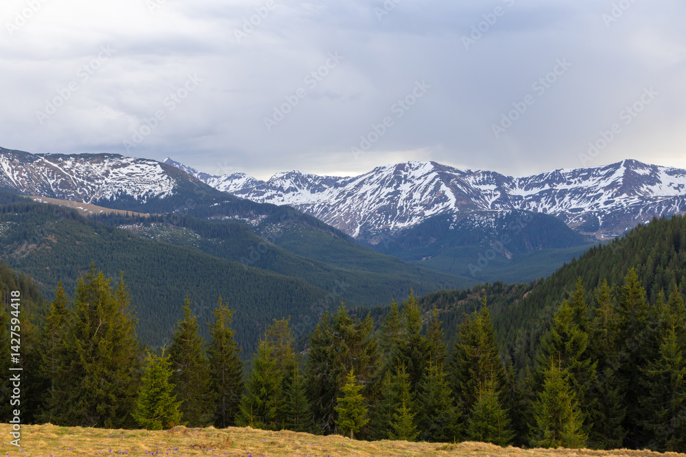 Landscape with mountains from Prislop Pass, Maramures County - Romania