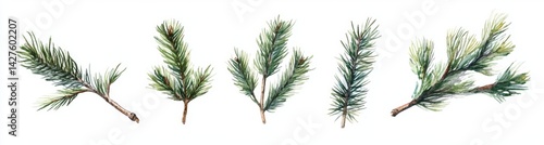 Watercolor Pine Branches