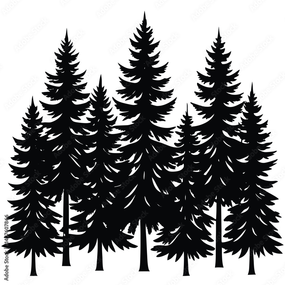 Silhouette of a Group of Evergreen Trees in a Forest Silhouette of a Group of Evergreen Trees in a Forest