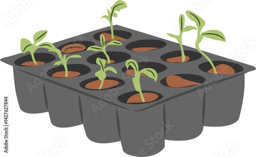 seeding Backyard gardening equipment