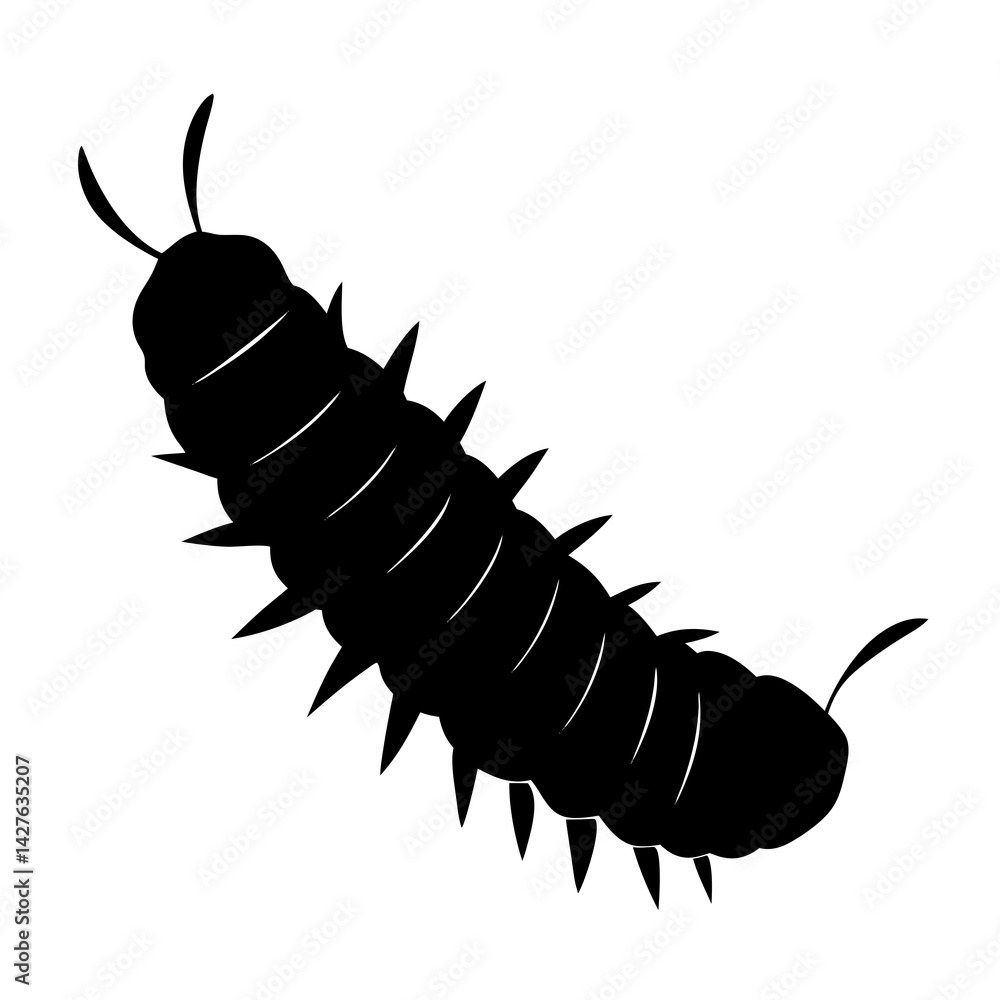 Obraz premium black silhouette of a Angled Sunbeam Caterpillar animal 
