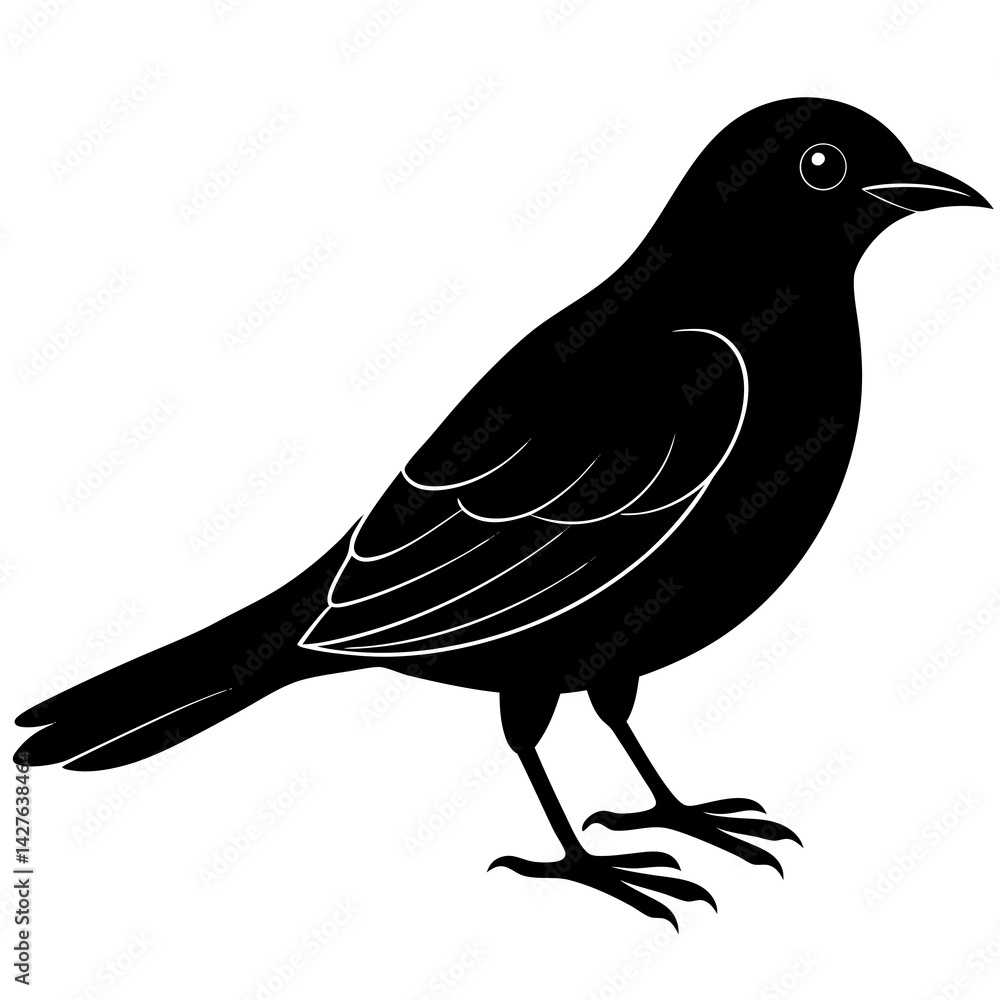 Fototapeta premium black silhouette of a bird animal