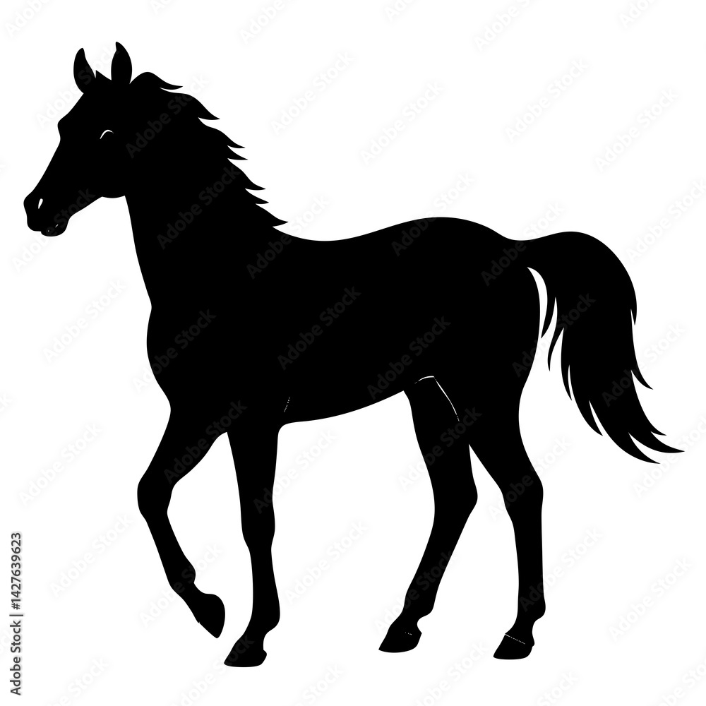 Obraz premium black silhouette of a horse, animal