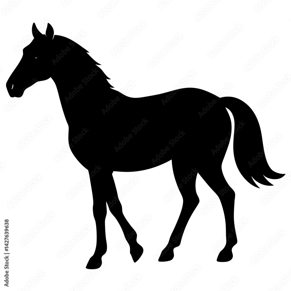Obraz premium black silhouette of a horse, animal 