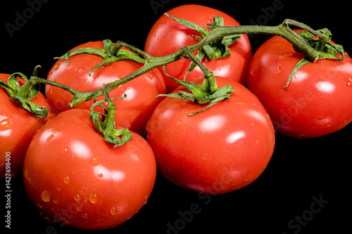 Obraz na płótnie Fresh Tomatoes on the Vine with Black Background w salonie