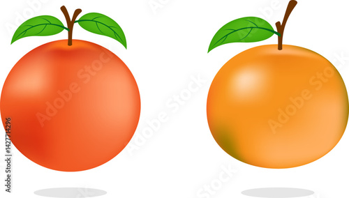 Sweet Orange Set Featuring Sunkist and Medan Variants in Cartoon Style for Citrus and Fruit Design