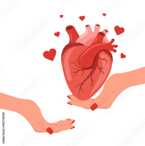 Heart transplantation. Recycle and renovation organ. Female hand donation human heart. Vector illustration in flat cartoon style.