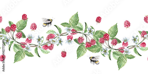 Wallpaper Mural Seamless border with curved branches and raspberries. Isolated watercolor illustration of ripe berries for product packaging design, photo frame decoration, poster printing Torontodigital.ca