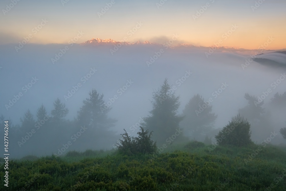 Fototapeta premium Rocky, forested hill emerges from the valley in the mist. Beautiful morning in the mountain landscape with mists. Morning sunrise fog. Pieniny national park Poland, Slovakia