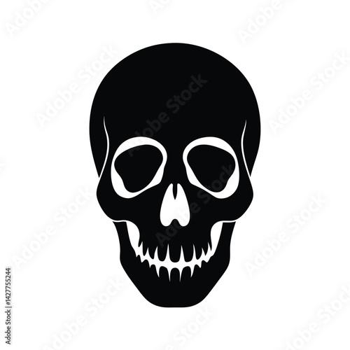 human skull vector illustration