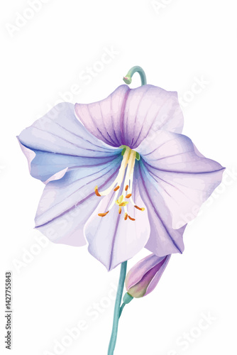 Watercolor bellflower blossom. Isolated delicate floral illustration for whimsical designs.