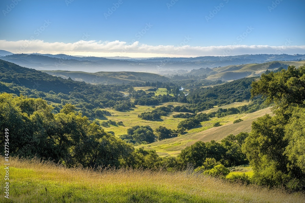 Obraz premium A breathtaking panoramic view of a lush green valley surrounded by rolling hills under a clear blue sky, with soft morning mist enhancing the serene landscape, ideal for nature enthusiasts