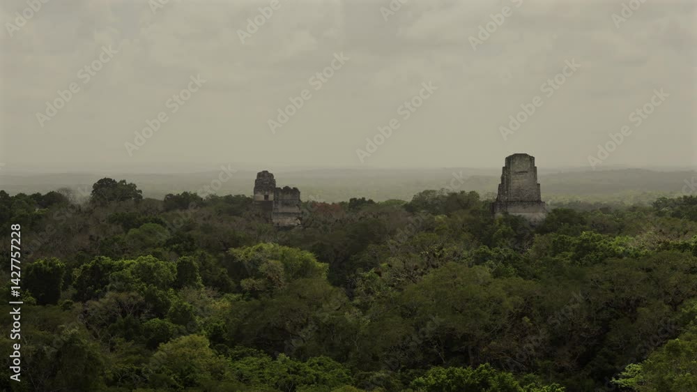 Tikal ruins in Guatemala. View of pyramids from temple IV. Ancient Maya civilization. Establisher Tikal ruins in Guatemala. View of pyramids from temple IV. Ancient Maya civilization. Establisher
