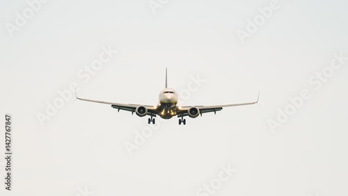 Jet aircraft descends gracefully against a soft sky during a tranquil afternoon, showcasing modern aviation in motion with precision