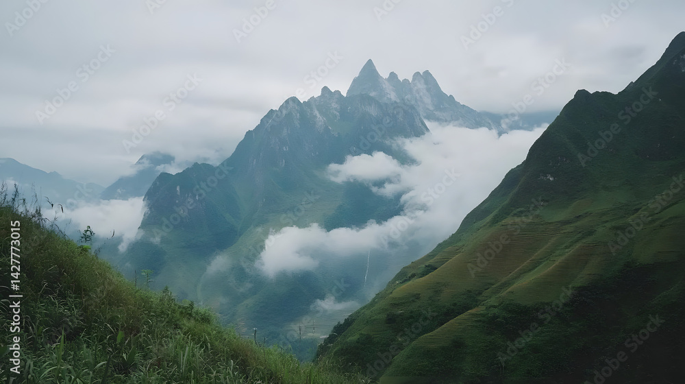 Fototapeta premium Misty Mountains Rise Majestically