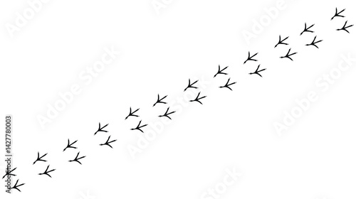 bird tracks footprints on transparent background, path, isolated simple flat style	