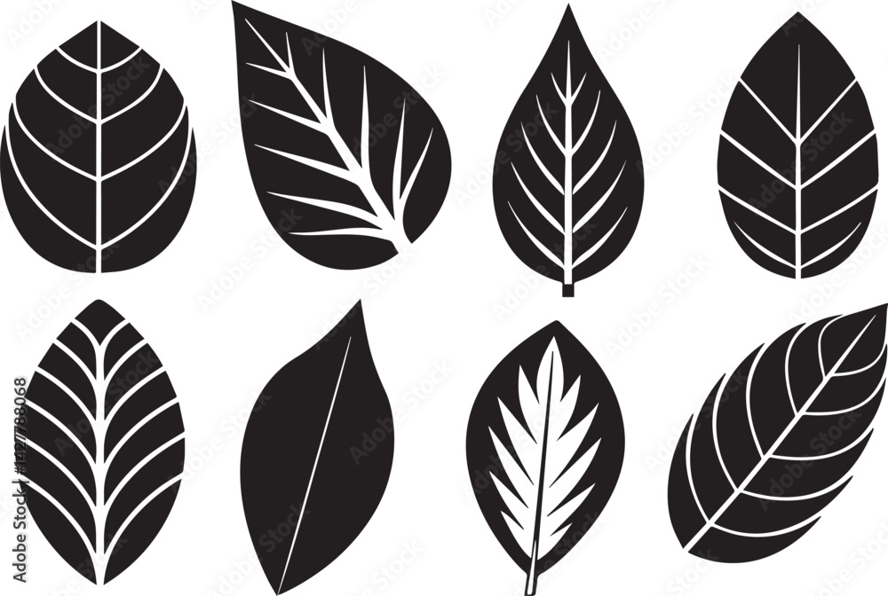 Fototapeta premium Set of leaves, flat silhouette. Hand drawn vector illustration