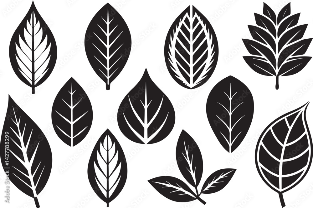 Set of leaves, flat silhouette. Hand drawn vector illustration Set of leaves, flat silhouette. Hand drawn vector illustration