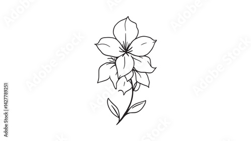 Delphinium line art intricate flower drawing in minimalist style