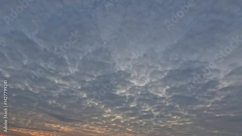 Wallpaper Mural timelapse of the sky - golden sunset scene with fluffy clouds - loop video Torontodigital.ca