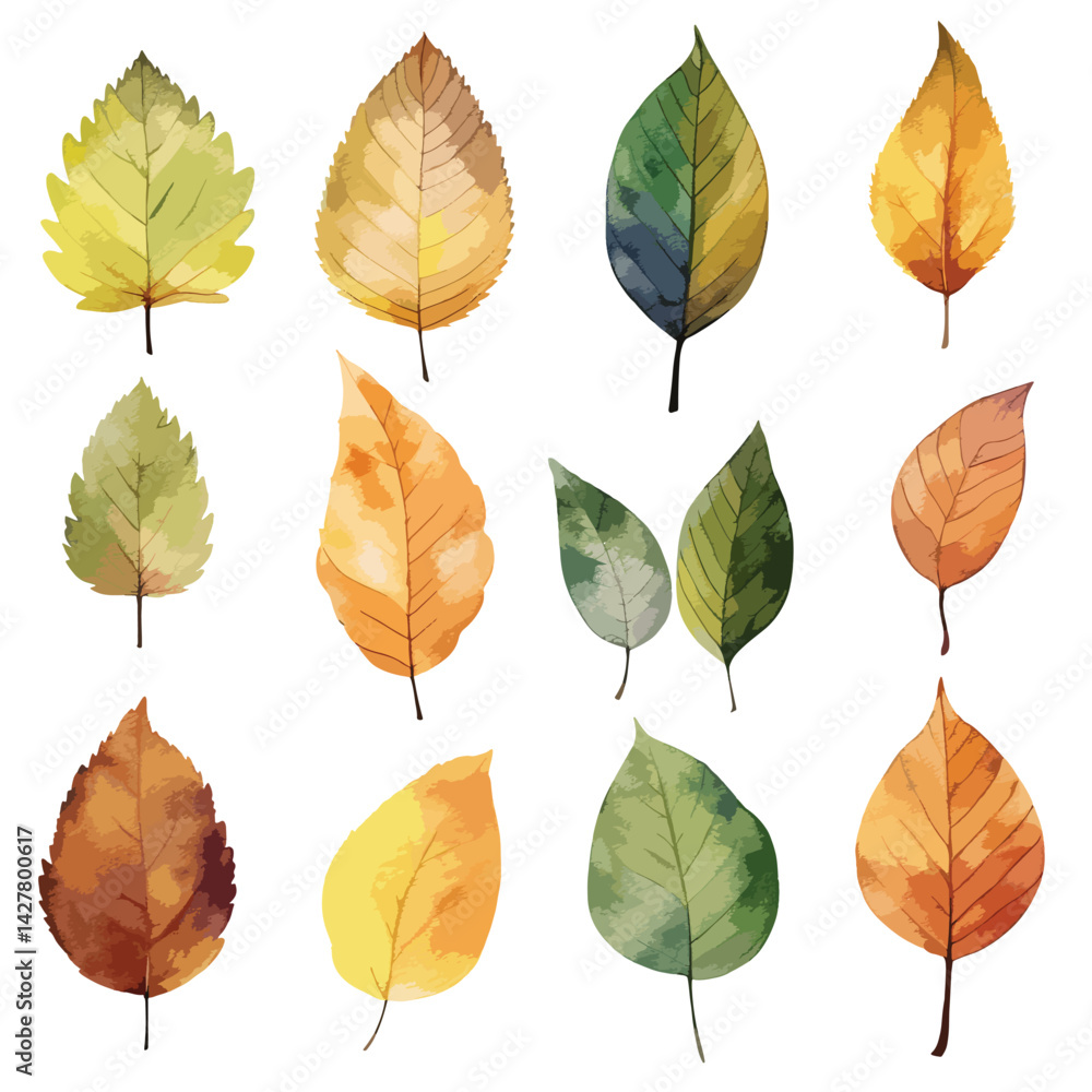 Fototapeta premium A autumn leaves cute watercolors illustration on white background