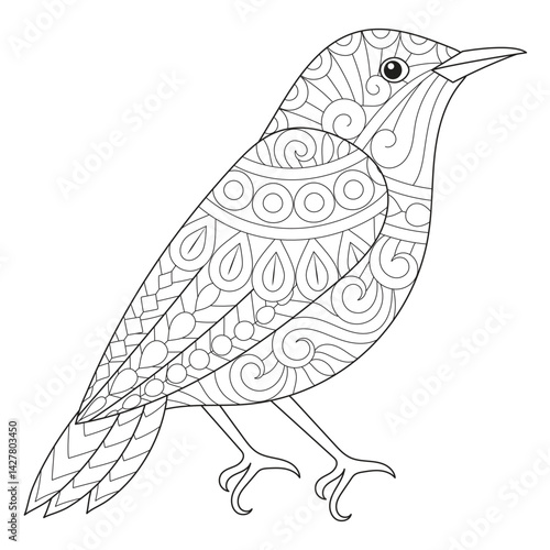 Intricate Bird Line Art for Coloring