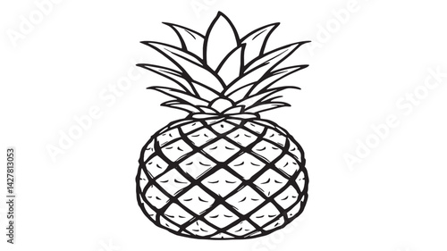 Pineapple line art vintage inspired tropical fruit with elegant detail