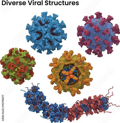 A detailed and scientifically accurate vector illustration showcasing the diverse structures of various viruses, highlighting their unique morphologies and internal components