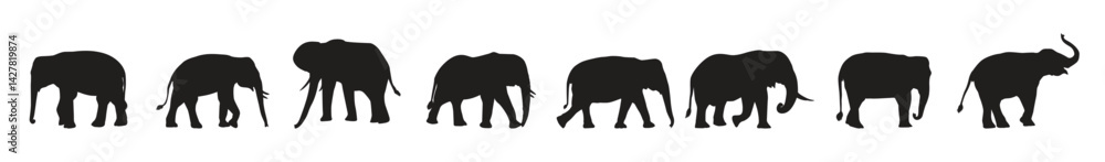 Obraz premium Collection of Animal Elephant silhouettes in different positions