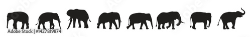 Collection of Animal Elephant silhouettes in different positions