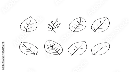 Tulsi (Holy basil) line art elegant sketch of healing leaves