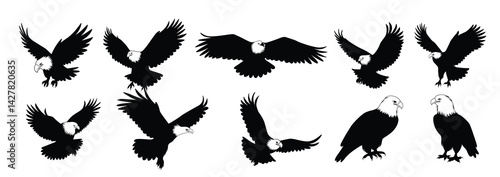Eagle Bird Silhouettes Vector.