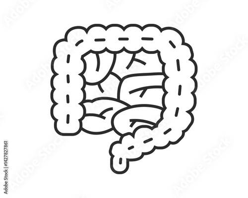 腸、小腸、大腸のイラスト