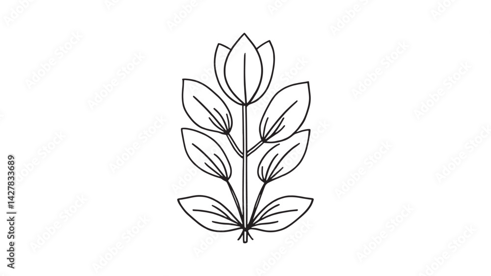 Obraz premium Yucca flower line art delicate botanical drawing in elegant detail