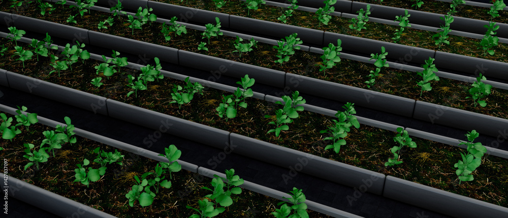 A row of potted plants are lined up in a row